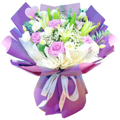 朝阳6朵紫玫瑰3支百合,爱之倾诉