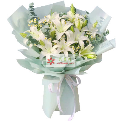 朝阳6支白色多头百合,温馨的祝福