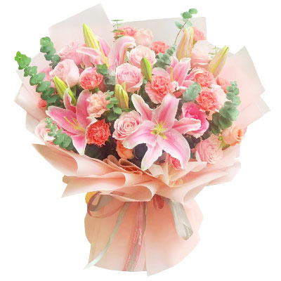朝阳11朵粉色康乃馨玫瑰百合，充满爱和温馨