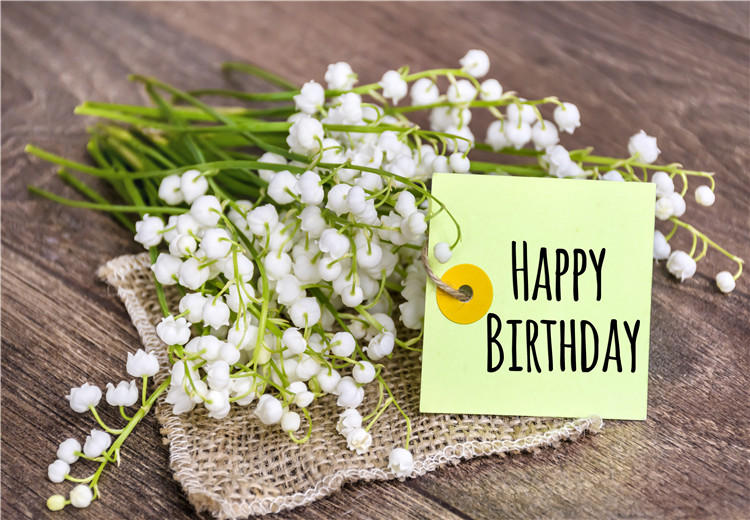 朝阳好朋友过生日，生日祝福语怎么说？